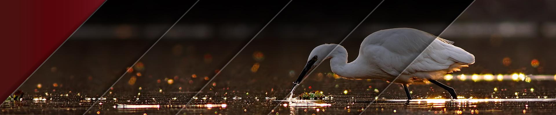 Environmental Services with Engineering Resources